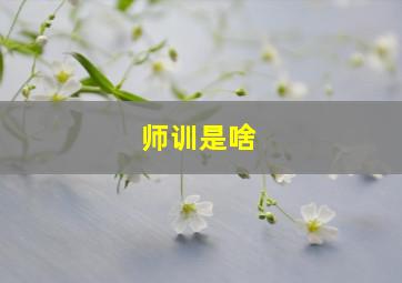 师训是啥