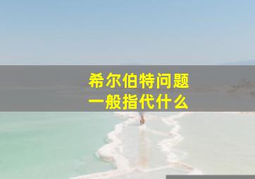 希尔伯特问题一般指代什么