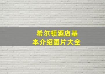 希尔顿酒店基本介绍图片大全