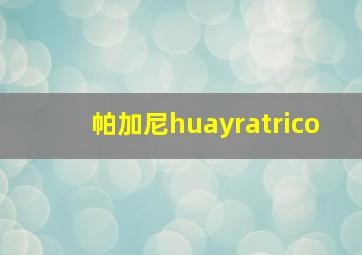 帕加尼huayratrico