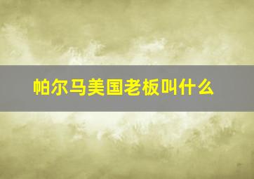 帕尔马美国老板叫什么