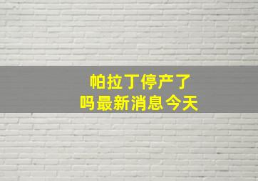 帕拉丁停产了吗最新消息今天