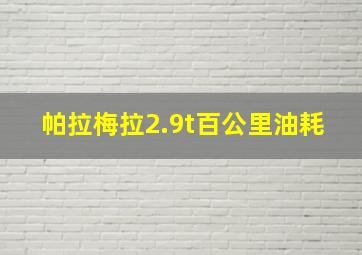 帕拉梅拉2.9t百公里油耗