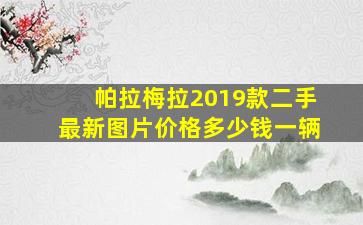 帕拉梅拉2019款二手最新图片价格多少钱一辆