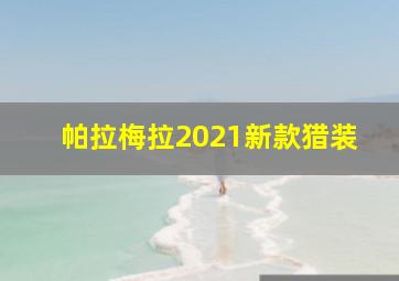 帕拉梅拉2021新款猎装