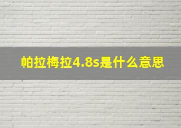 帕拉梅拉4.8s是什么意思