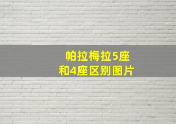 帕拉梅拉5座和4座区别图片