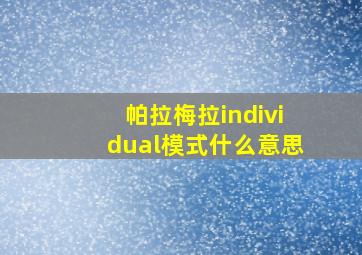 帕拉梅拉individual模式什么意思