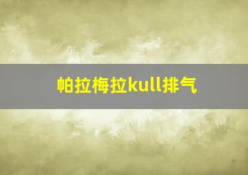 帕拉梅拉kull排气