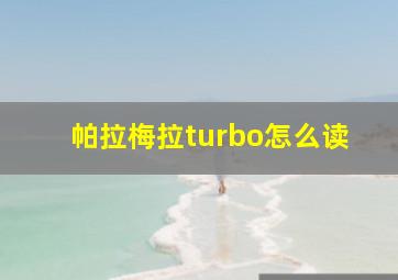 帕拉梅拉turbo怎么读