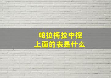 帕拉梅拉中控上面的表是什么