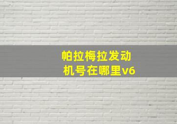 帕拉梅拉发动机号在哪里v6