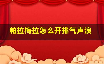 帕拉梅拉怎么开排气声浪