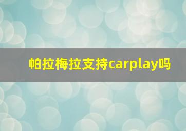 帕拉梅拉支持carplay吗