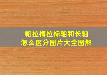 帕拉梅拉标轴和长轴怎么区分图片大全图解