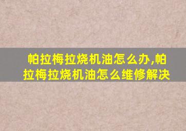 帕拉梅拉烧机油怎么办,帕拉梅拉烧机油怎么维修解决