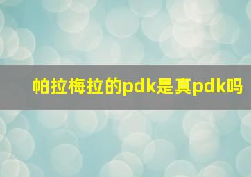 帕拉梅拉的pdk是真pdk吗