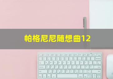 帕格尼尼随想曲12