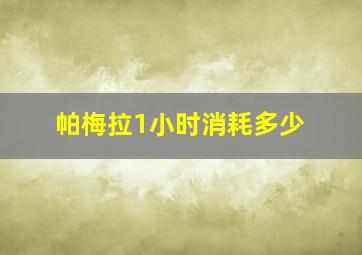 帕梅拉1小时消耗多少