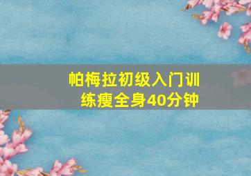 帕梅拉初级入门训练瘦全身40分钟