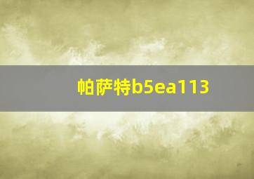 帕萨特b5ea113