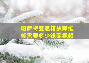 帕萨特变速箱故障维修需要多少钱呢视频