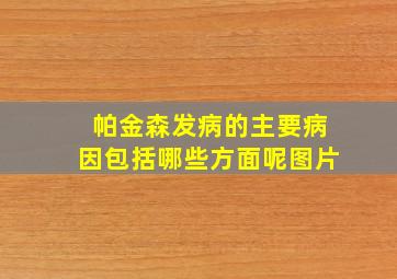 帕金森发病的主要病因包括哪些方面呢图片