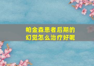 帕金森患者后期的幻觉怎么治疗好呢