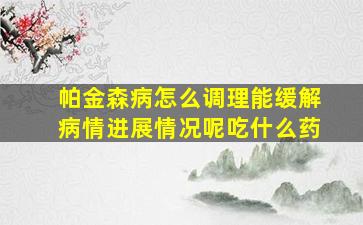 帕金森病怎么调理能缓解病情进展情况呢吃什么药