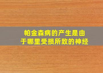 帕金森病的产生是由于哪里受损所致的神经