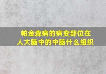 帕金森病的病变部位在人大脑中的中脑什么组织