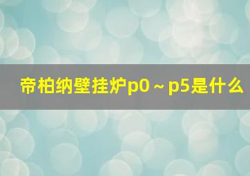 帝柏纳壁挂炉p0～p5是什么