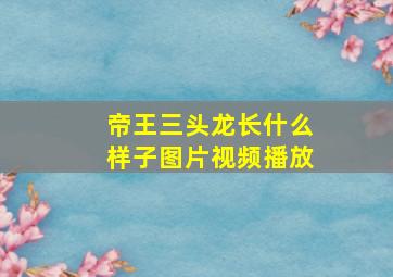 帝王三头龙长什么样子图片视频播放