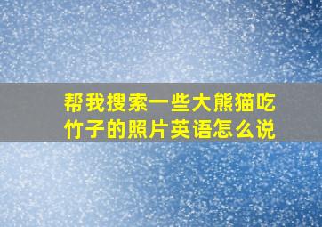 帮我搜索一些大熊猫吃竹子的照片英语怎么说