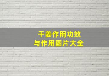 干姜作用功效与作用图片大全