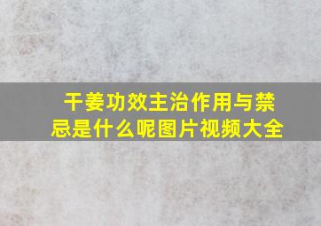 干姜功效主治作用与禁忌是什么呢图片视频大全