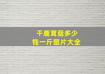 干鹿茸菇多少钱一斤图片大全