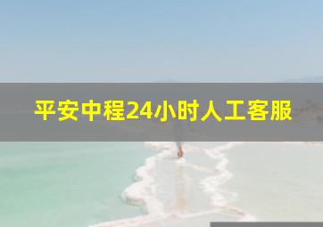 平安中程24小时人工客服