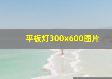 平板灯300x600图片