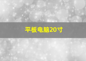 平板电脑20寸