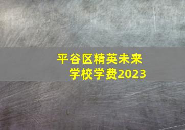 平谷区精英未来学校学费2023