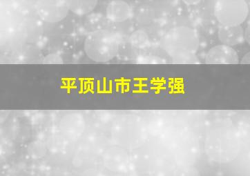 平顶山市王学强