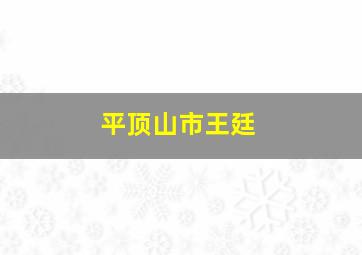 平顶山市王廷