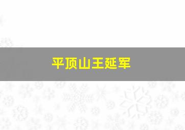 平顶山王延军