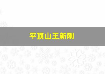 平顶山王新刚