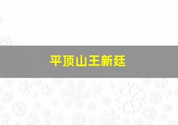 平顶山王新廷