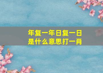 年复一年日复一日是什么意思打一肖