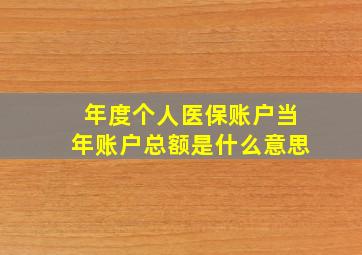 年度个人医保账户当年账户总额是什么意思