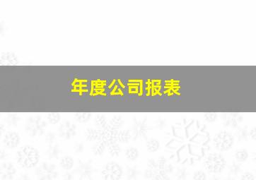 年度公司报表