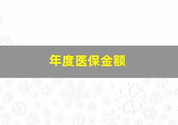 年度医保金额